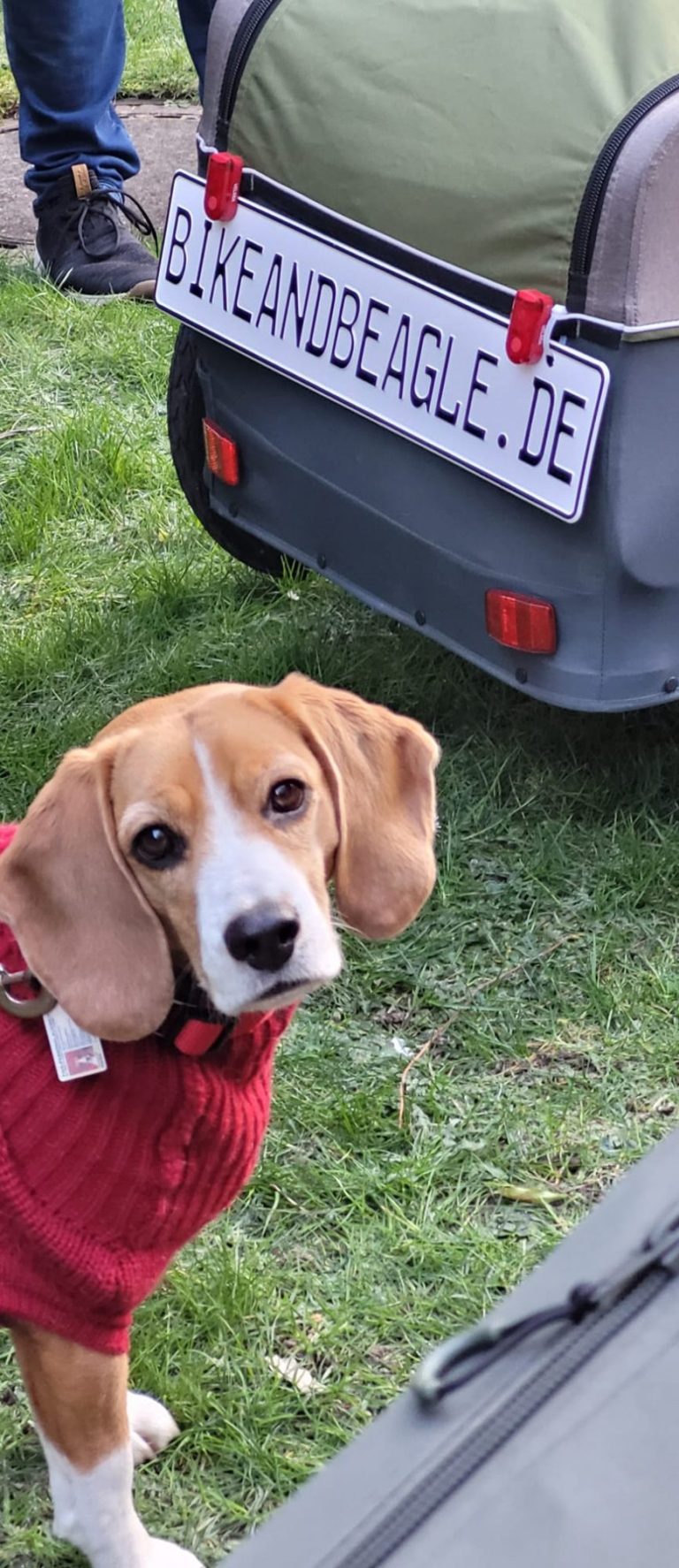 Kaufe Auto-Innenraum, gebrochener Wind, kleine gelbe Ente mit Helm